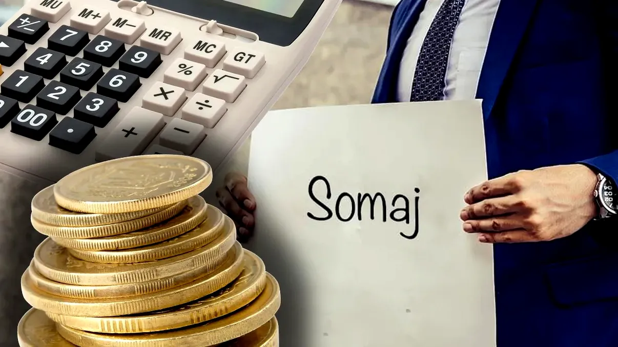 Rata șomajului urcă la 5,9%. Cine plătește prețul și unde se vede cel mai mult