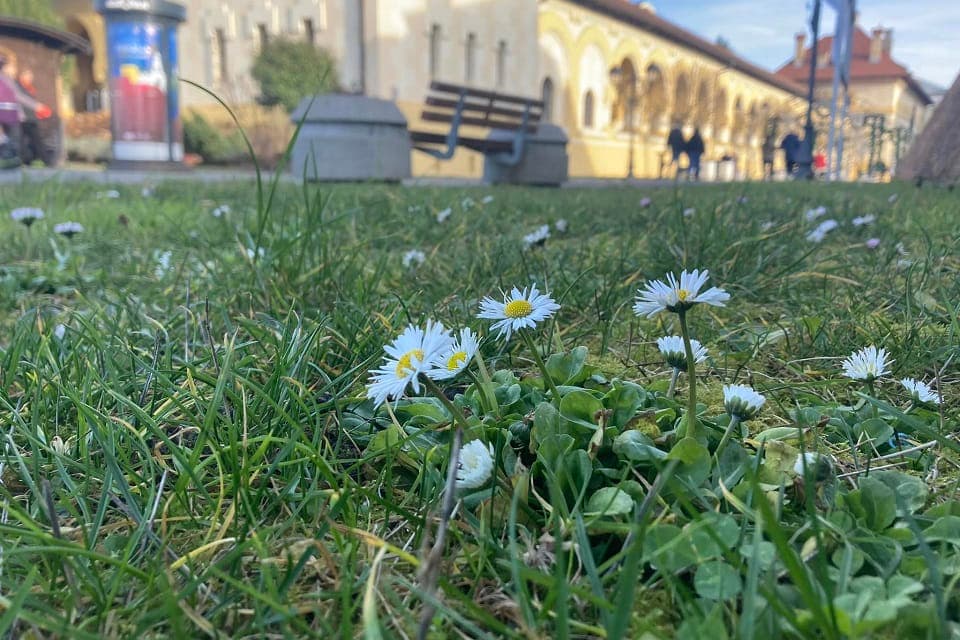 Record absolut! 2 ianuarie, cea mai caldă zi de ianuarie din istoria măsurătorilor meteorologilor