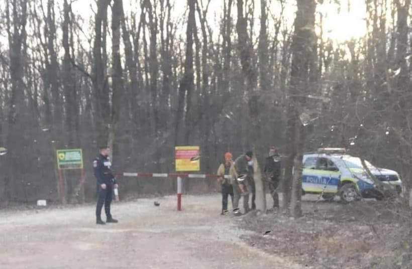 Romsilva, despre drumul forestier din Pădurea Băneasa: Nu a făcut obiectul retrocedării, ieşirii legale din fondul forestier sau predării unei alte entităţi / S-a produs o eroare materială, remediată în 2020