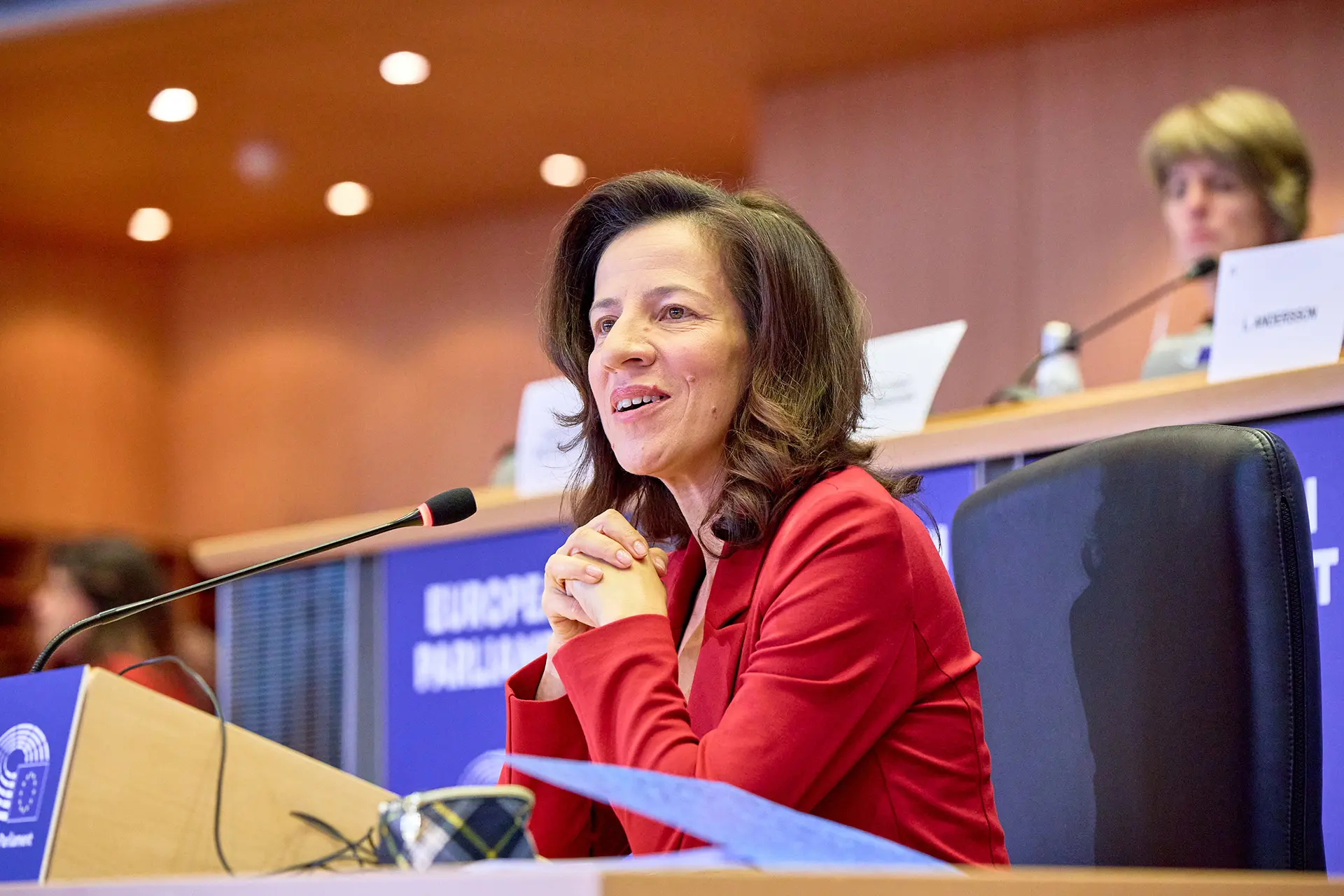 Roxana Mînzatu pune pe masă strategia UE pentru creștere economică și coeziune socială