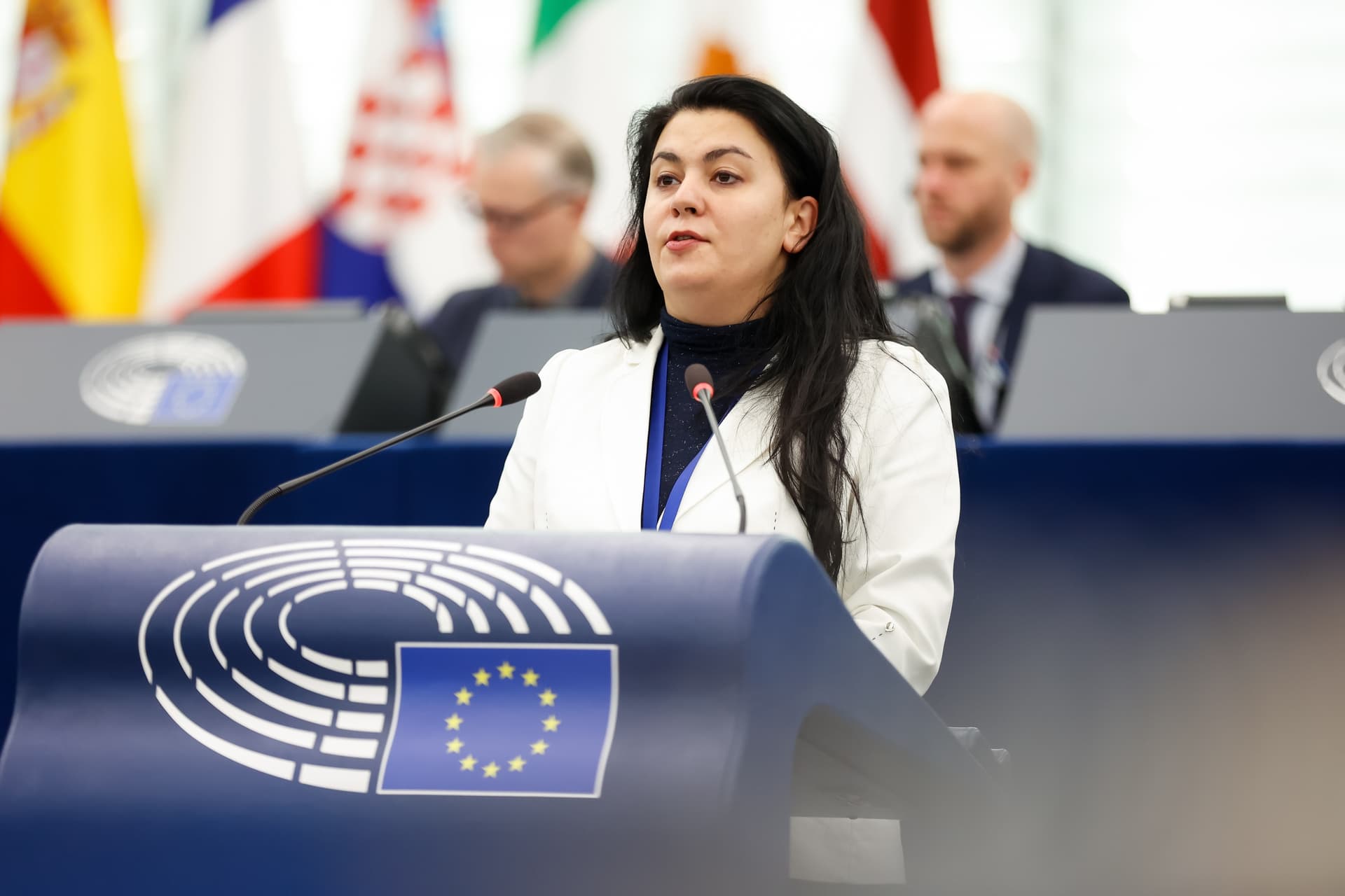 Scandal după reuniunea cu ușile închise despre România: Teodorescu acuză defăimarea
