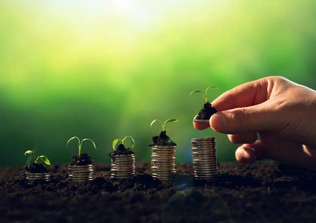 Sustenabilitatea modelează economia. Investiții și oportunități pentru viitor