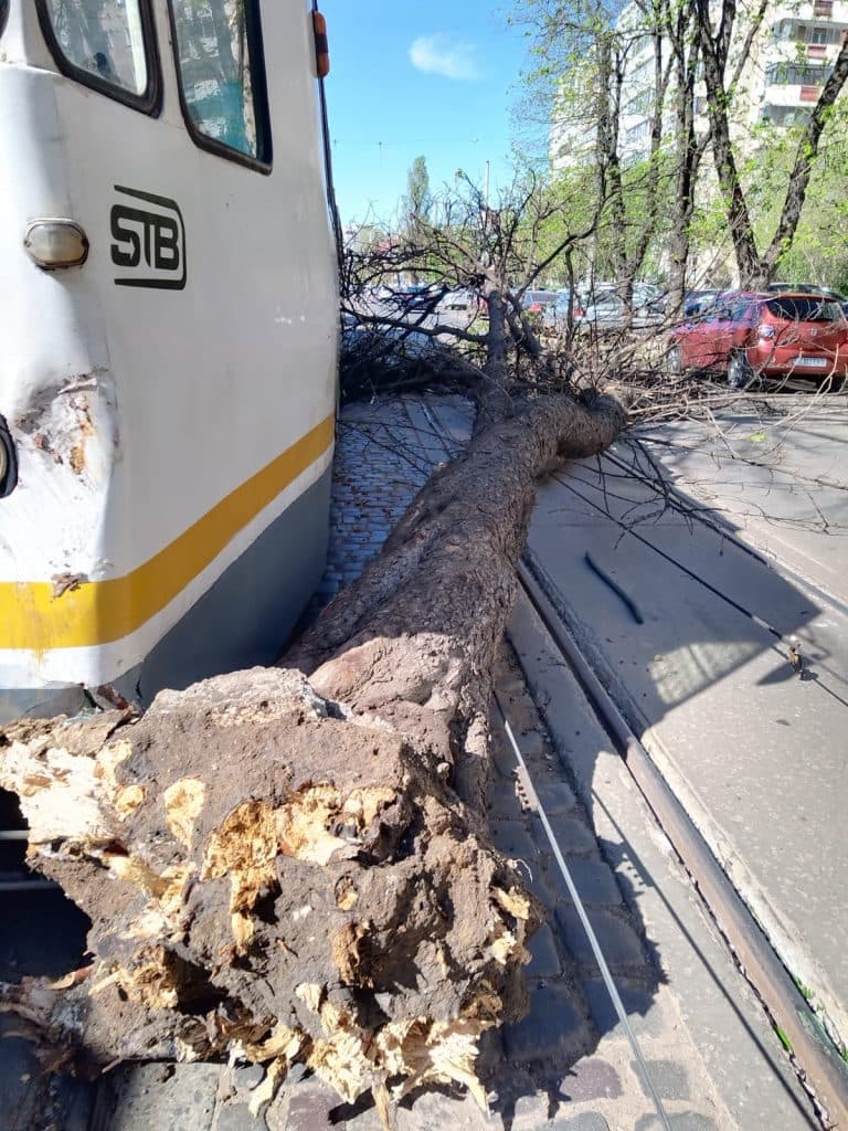 Ultima oră: La un pas de tragedie. Liniile de tramvai 5,16 și 36, blocate
