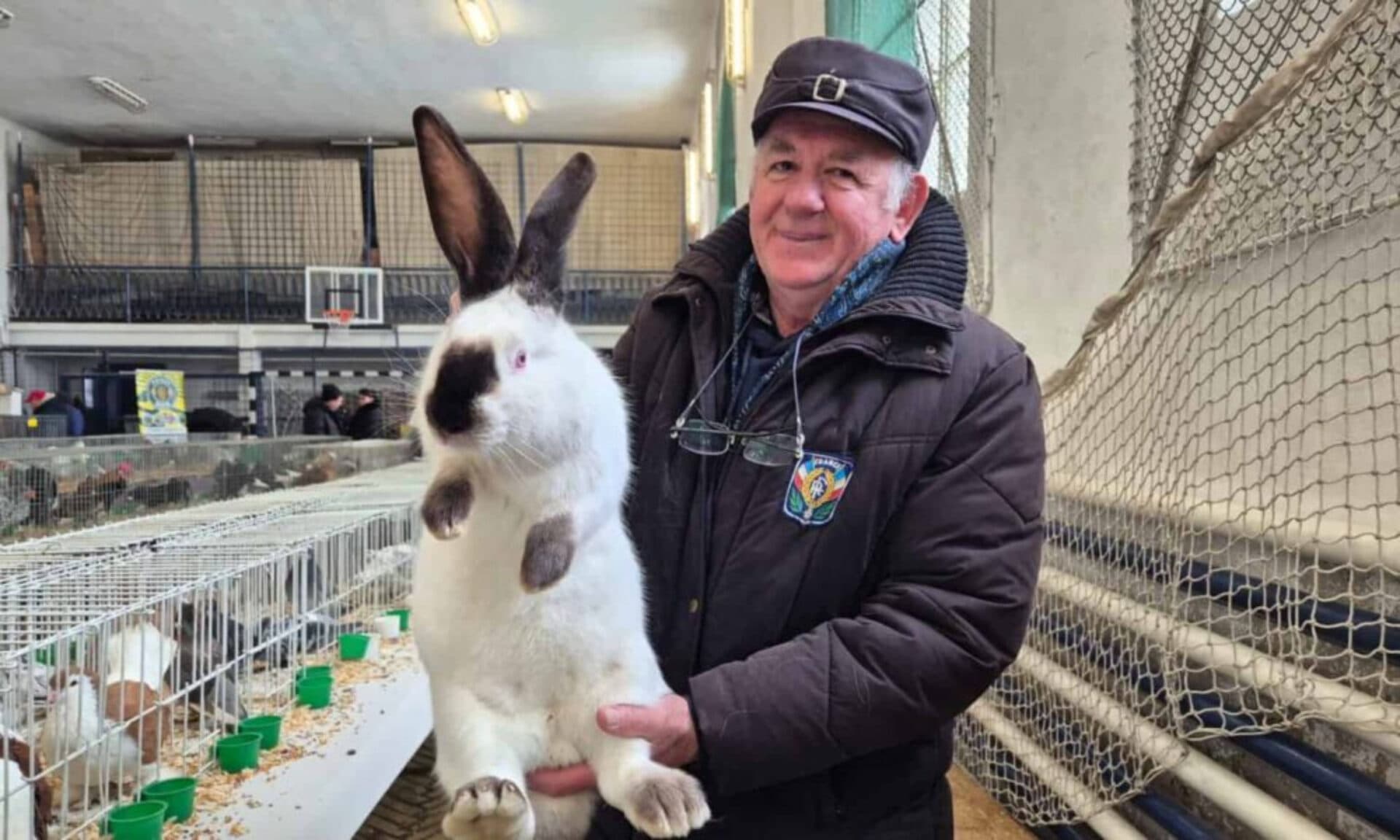 Un fermier român a dat lovitura cu iepurele „uriaș de Transilvania”. Cât costă un exemplar din ”gigantul” de 9 kilograme