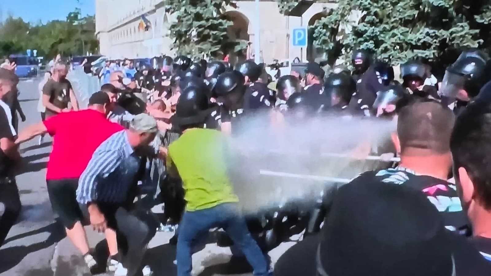 Protestul ciobanilor. Mii de oieri vor lua cu asalt Guvernul, deja au fost incidente