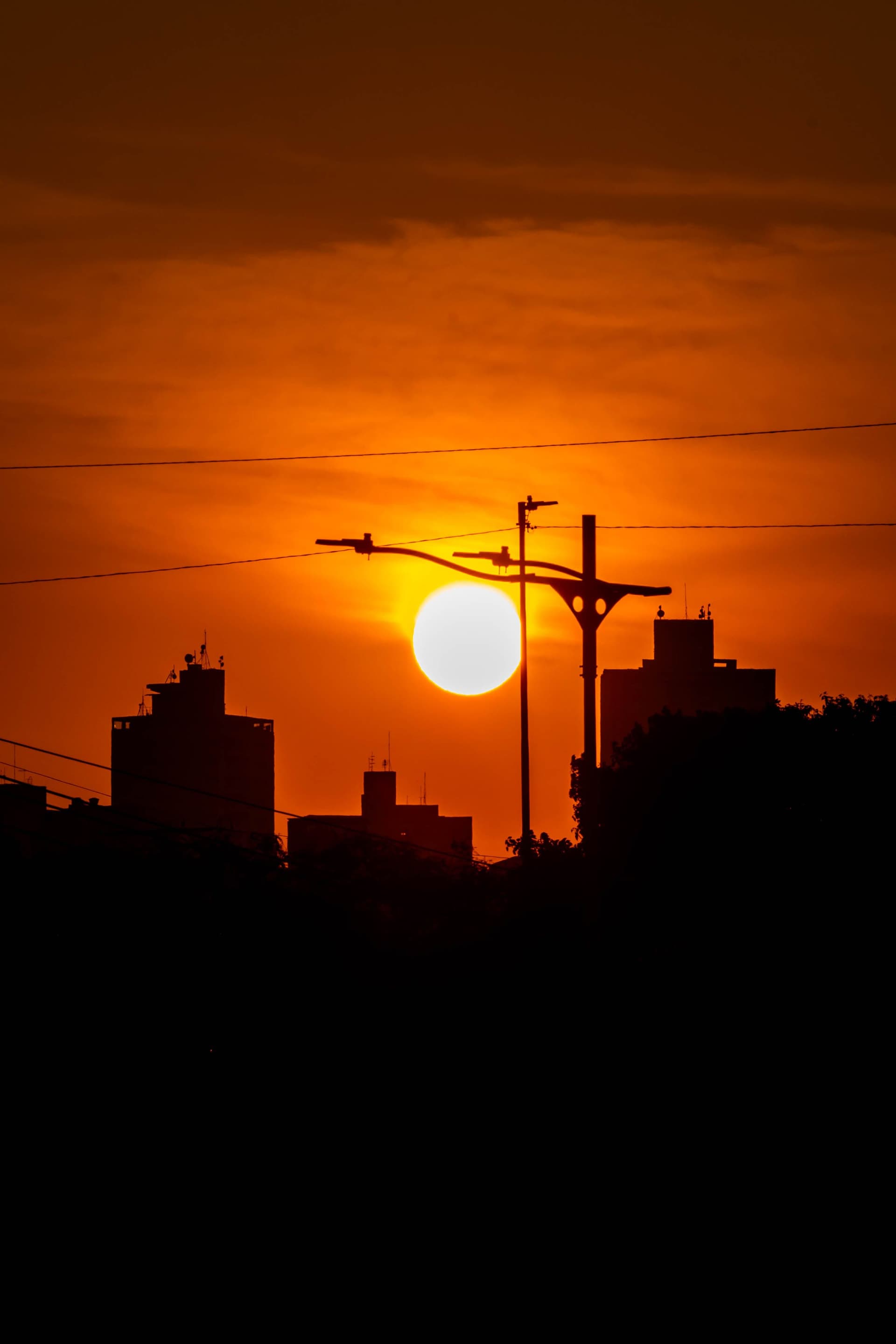 Cod galben de caniculă în opt județe și București