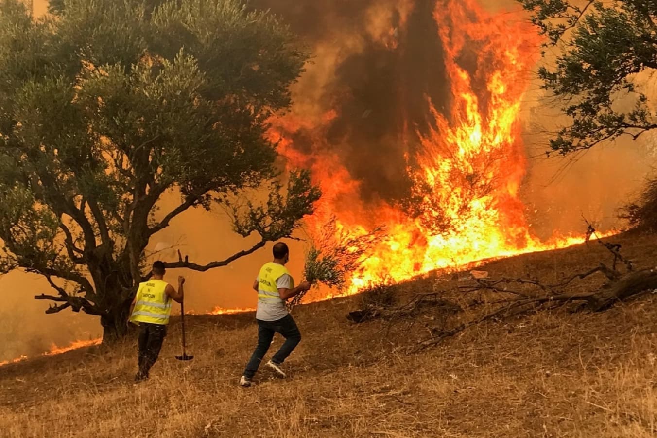 Măsuri extreme după mai multe incendii. Pedeapsa cu moartea pentru piromani