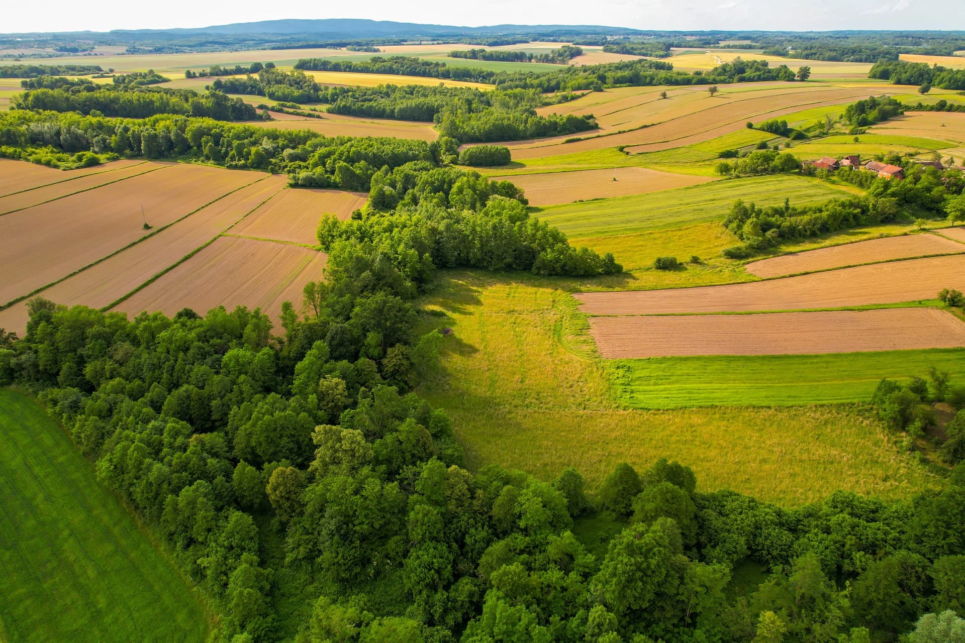 Business și agricultură, noua filosofie UE. Startup-urile și fermele devin parte din noul model