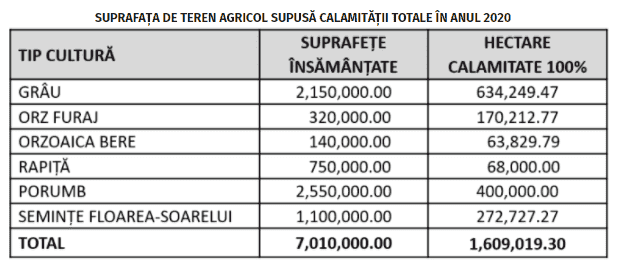 Au ”ars” ogoarele patriei! Pierderile au fost URIAȘE pentru fermieri