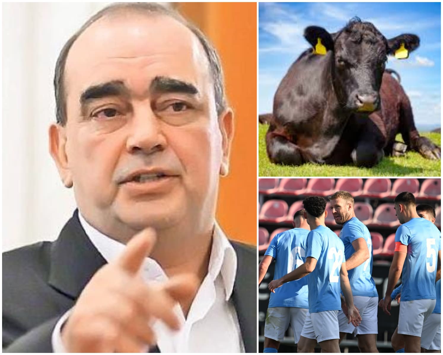 Averea impresionantă a lui Gigi Nețoiu, afaceristul care, de pe stadion, vrea la Primăria Capitalei: „Am cea mai modernă fermă de vită Angus din Europa”