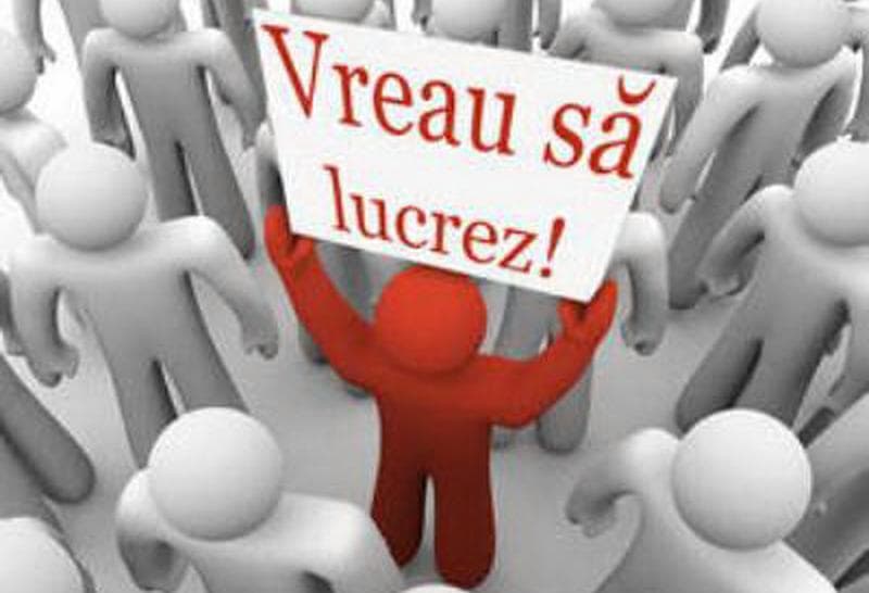 Burse tăiate, facturi uriașe. Tinerii români caută soluții de supraviețuire