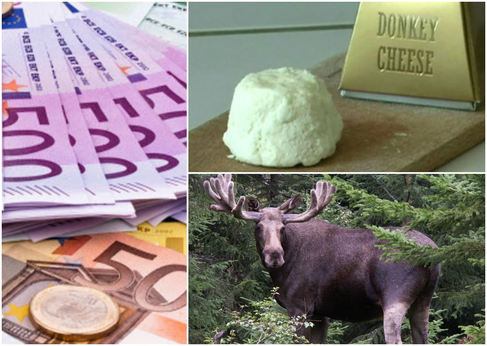 Care este cea mai scumpă brânză din lume? Ai da 36.000 de euro pentru o roată de 2 kg?