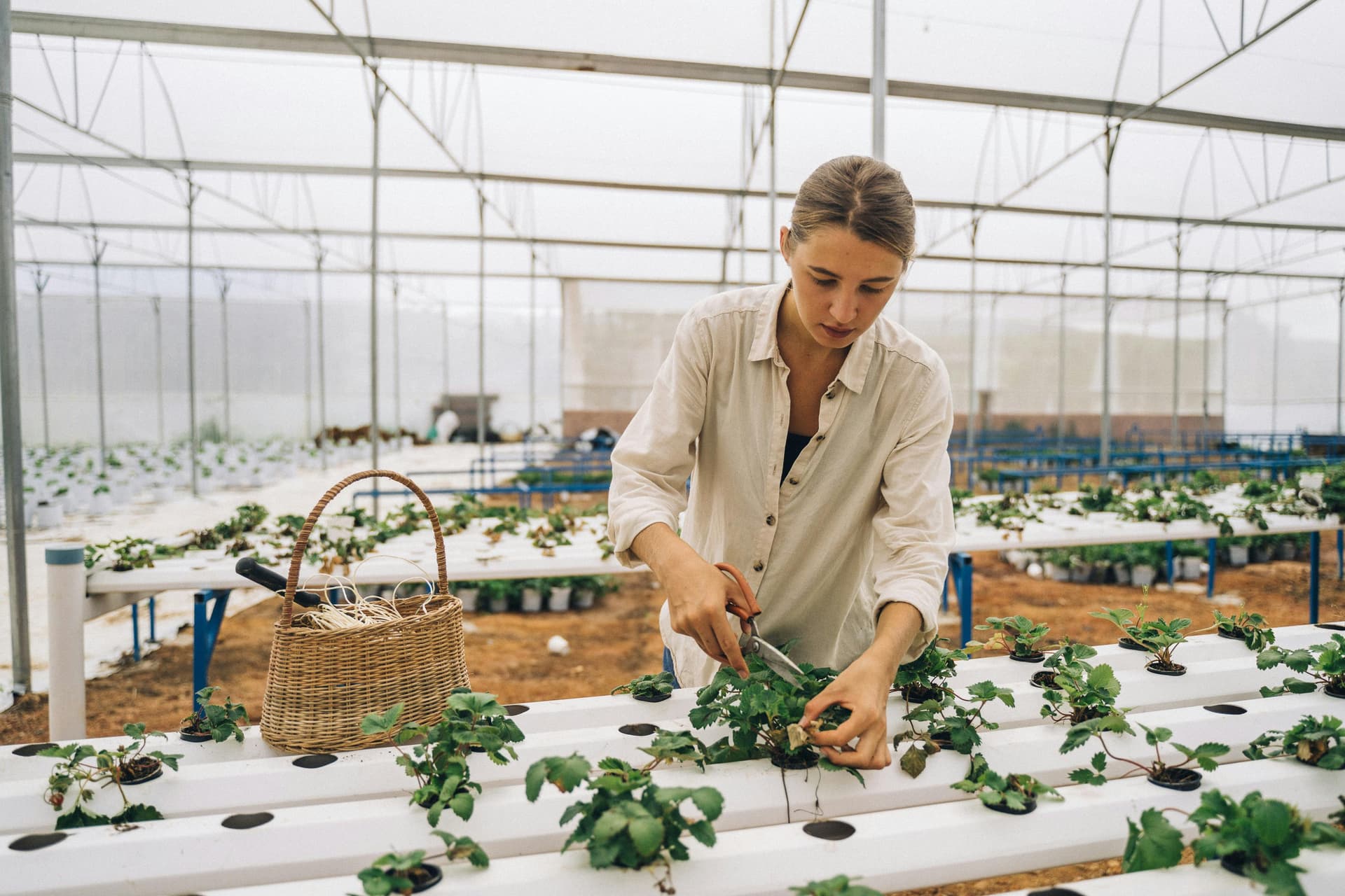 Comisia Europeană a lansat platforma Women in Farming pentru a crește rolul femeilor în agricultura europeană