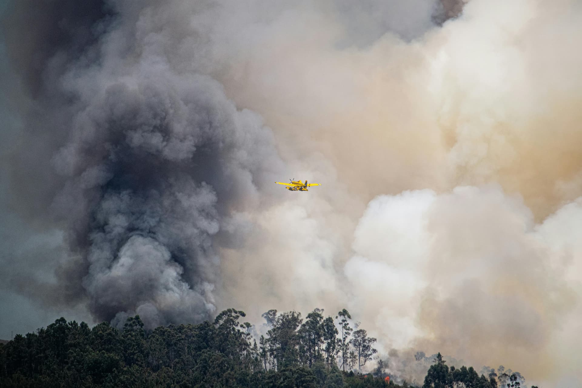 Comisia Europeană lansează o strategie pentru combaterea incendiilor de vegetație, după cel mai grav an înregistrat