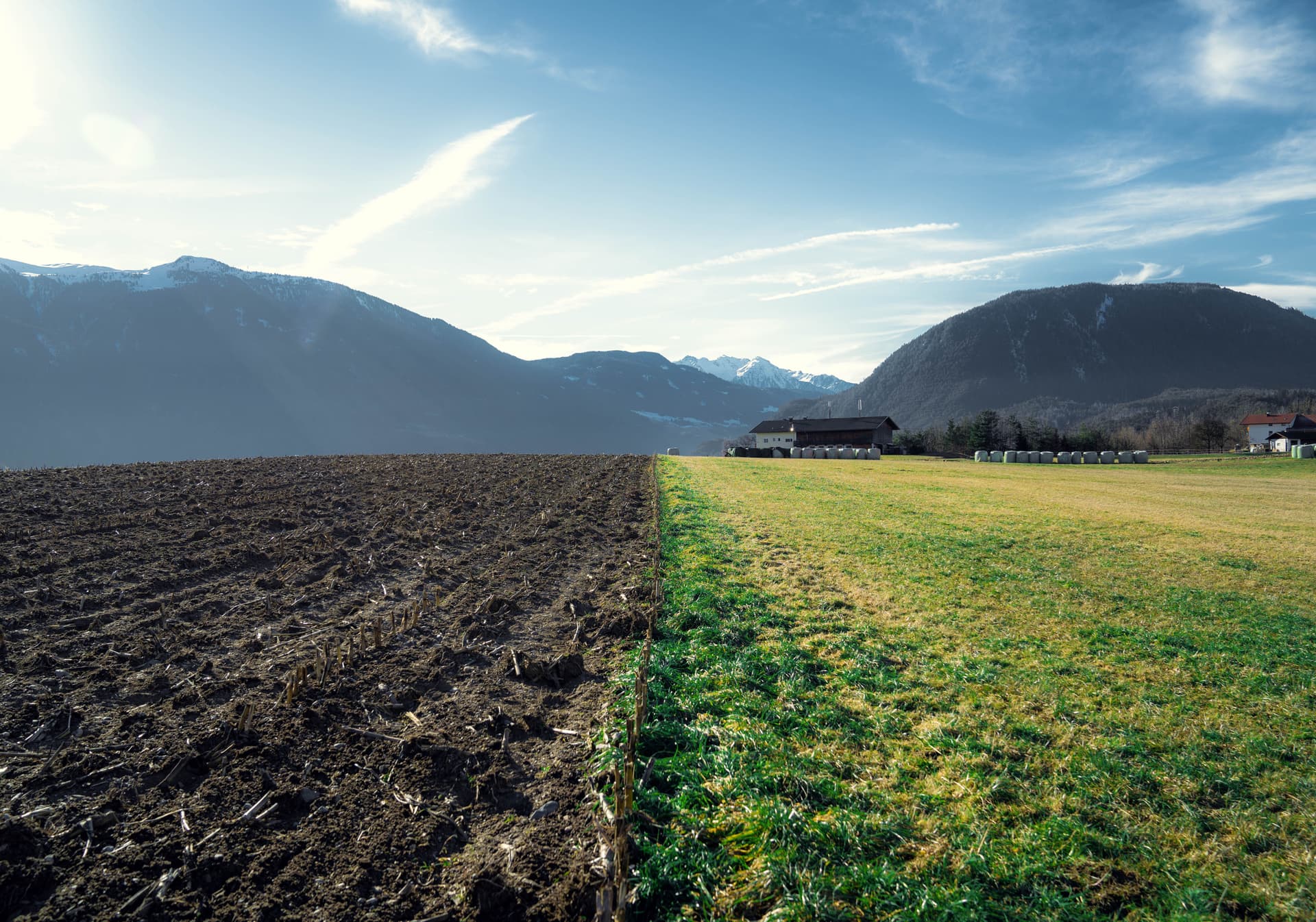 Corporate Europe Observatory acuză marile companii agroalimentare că folosesc agricultura regenerativă pentru a influența politica agricolă europeană