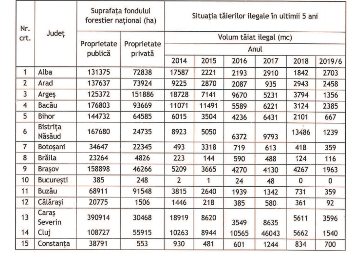 DOCUMENT! Amenzi prea mici ca să-i sperie pe hoții de lemne. Se taie în continuare