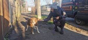 Ecologista Paula Seling preocupată de viitorul planetei! ”Merg la cumpărături cu plasele mele. Vânzătoarele cred că sunt nebună”