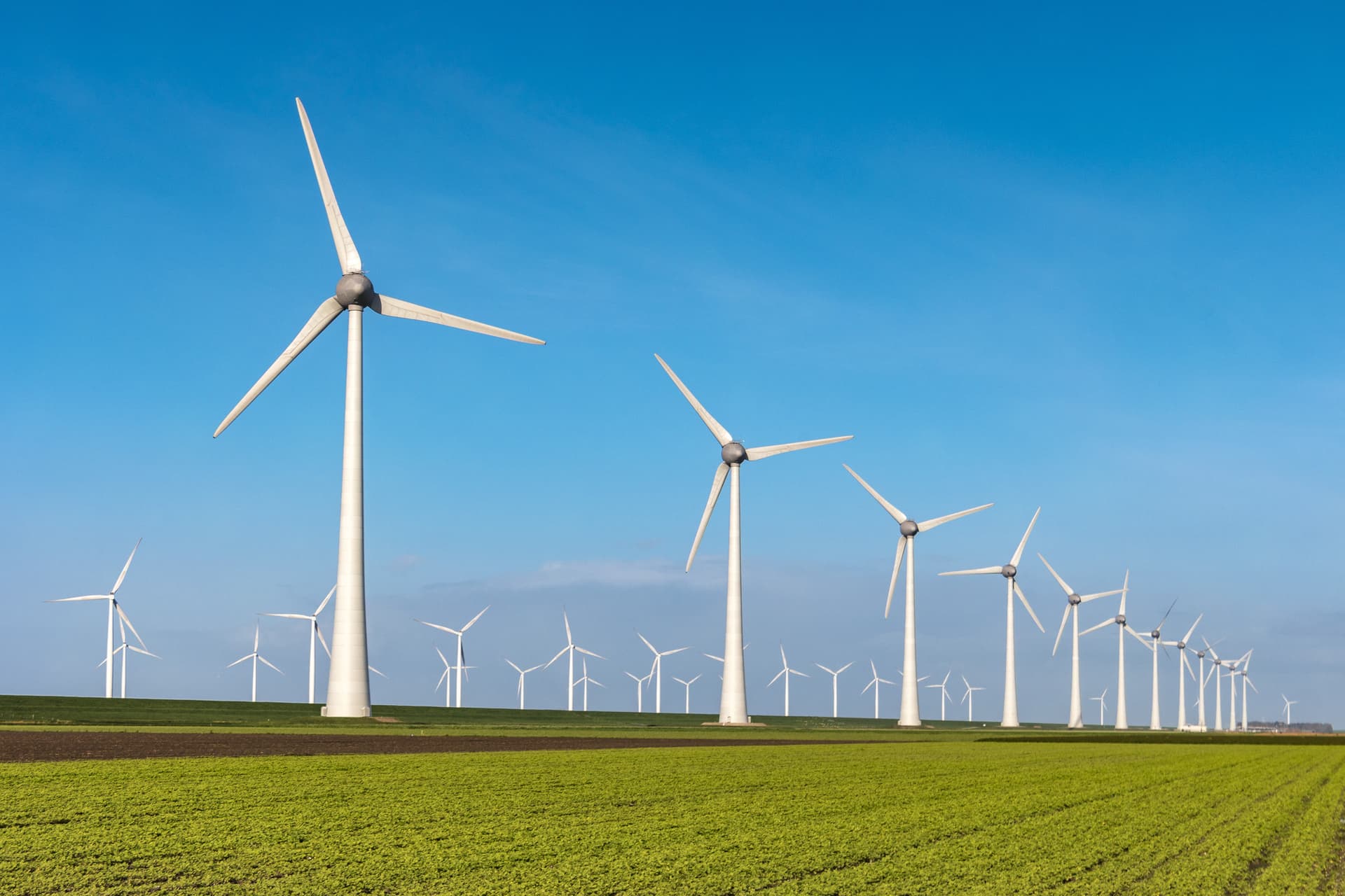 Europa rămâne în urmă față de țintele de expansiune a energiei eoliene
