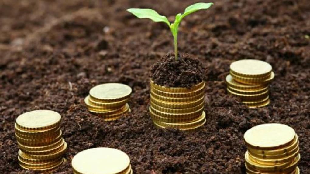 Fermierii români beneficiază de un sprijin financiar de 25 milioane euro prin BEI