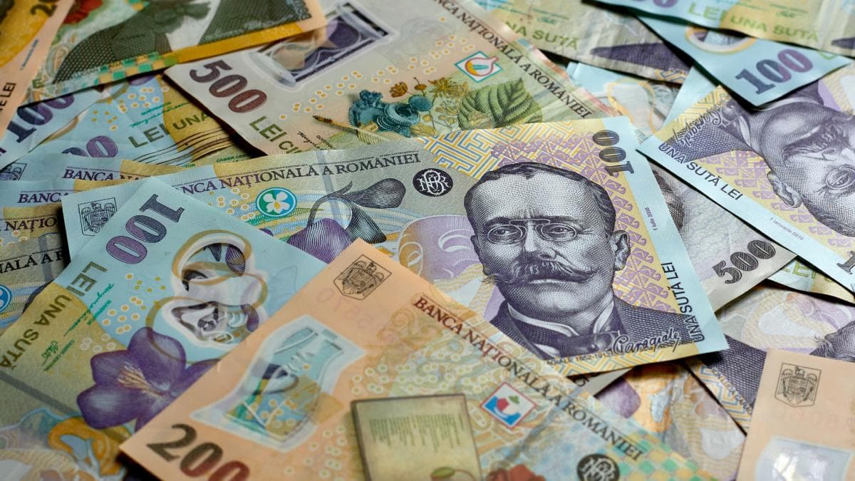 Fidelis 2025. Oferte de investiție cu dobânzi substanțiale și oportunități de impact social