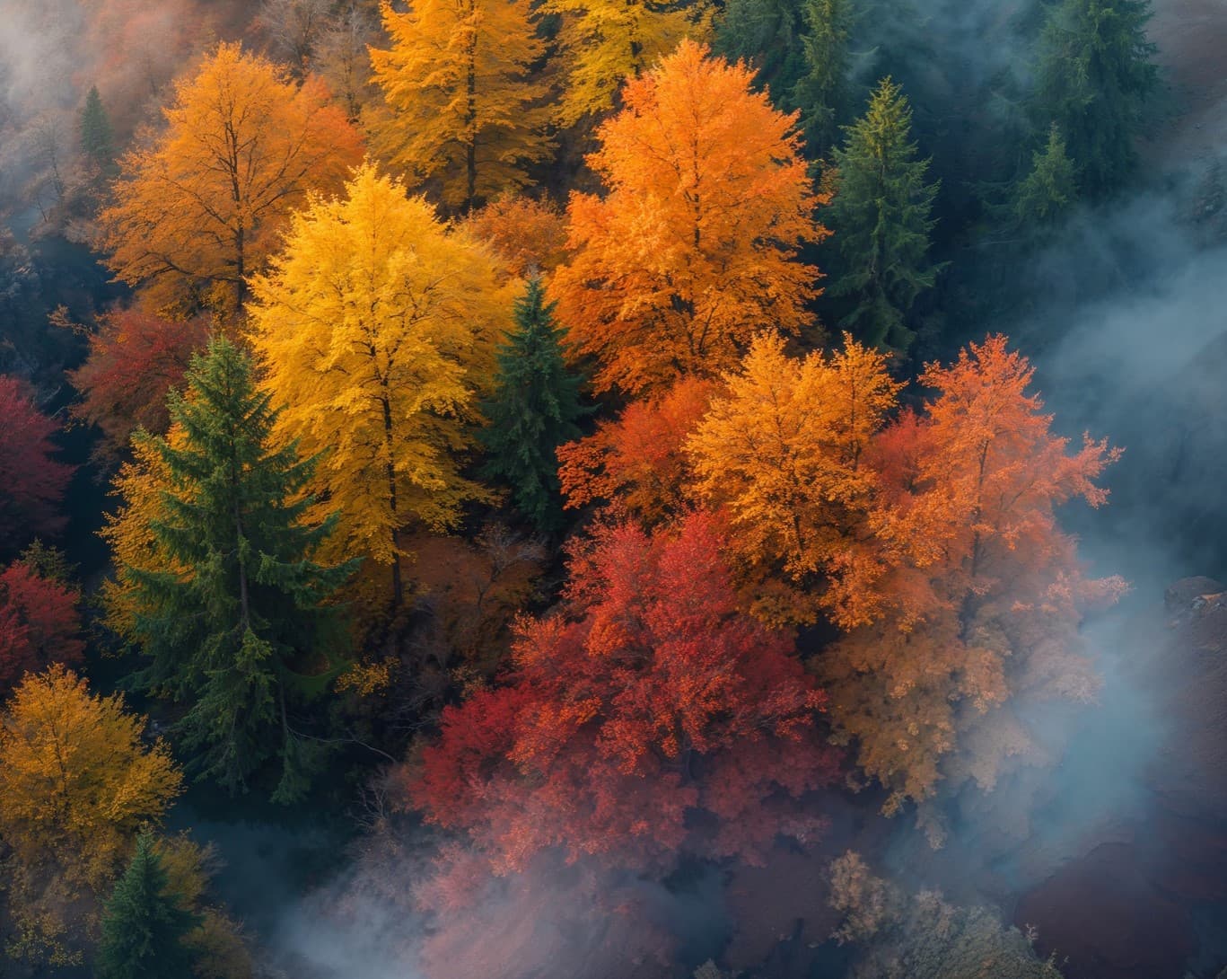 Horoscop bani și carieră – 3 septembrie 2025