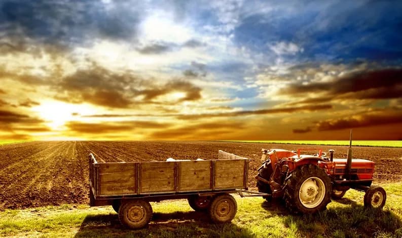 Investiții în agricultură. Direcțiile strategice care pot transforma sectorul în motor de creștere
