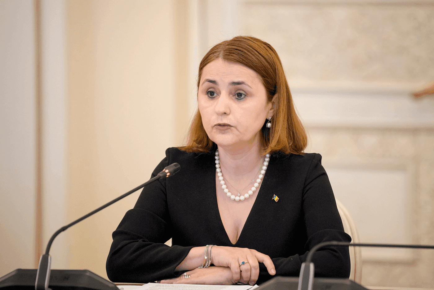 Luminița Odobescu: „Problemele cibernetice sunt o prioritate pentru România”
