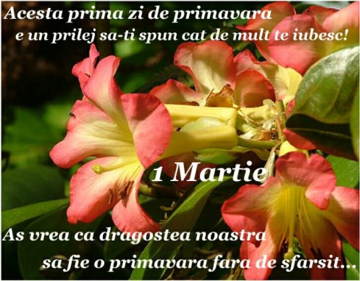 Mesaje Whatsapp și Messenger, felicitări și urări virtuale de 1 martie pentru toate femeile