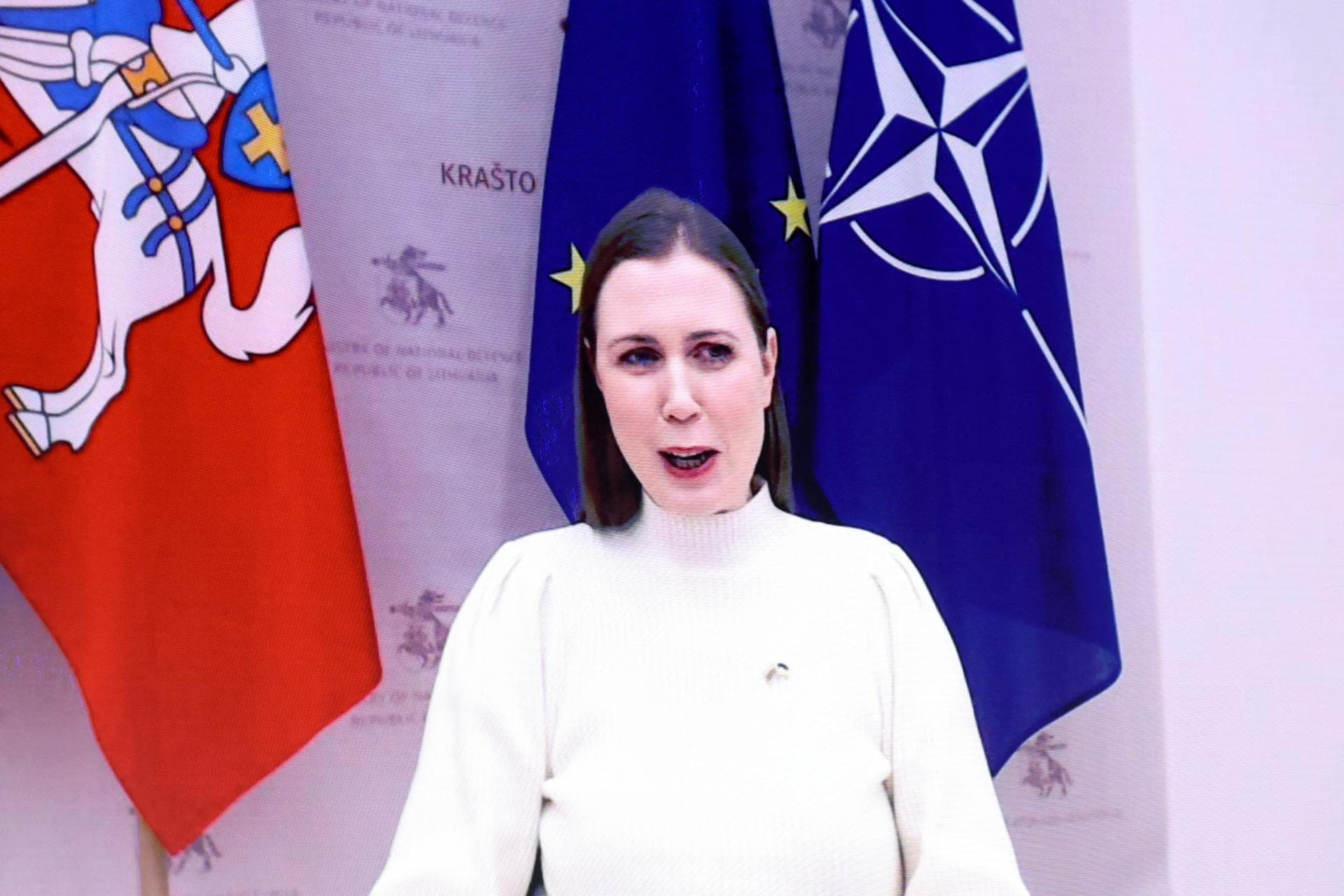 Ministrul lituanian al Apărării, Dovile Sakaliene: Europa trebuie să depună eforturi privind contribuțiile la apărare