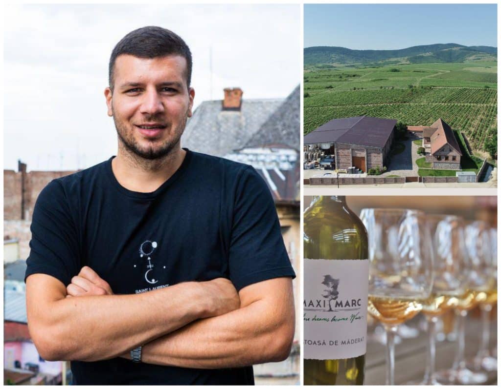 Popularii români care vând propriul vin: pasiune și afaceri