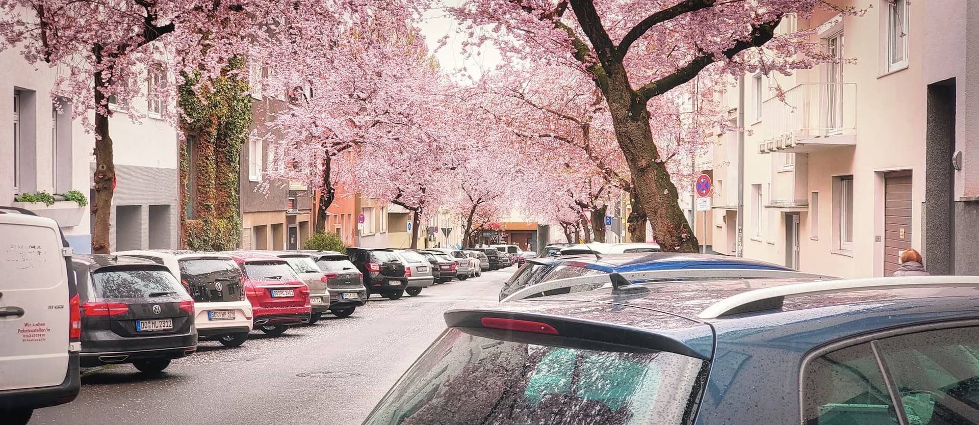 Primăvara vine cu aventuri noi – Închiriază o mașină cu EuroCars și pornește la drum!