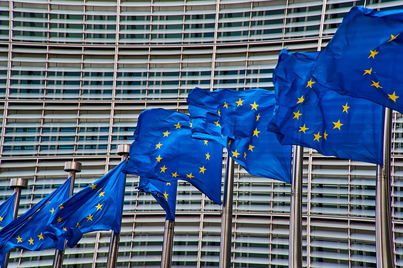Regulamentul UE privind defrișările: claritate și predictibilitate pentru operatorii economici