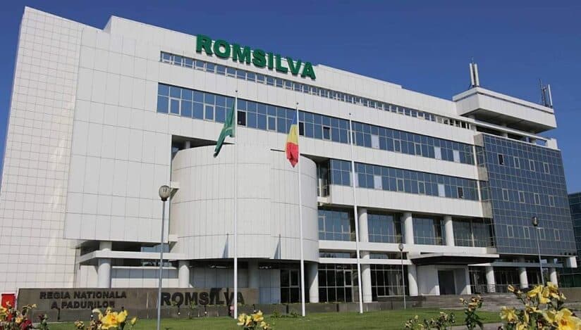 Revoluție la Romsilva. Guvernul taie 70% din direcțiile silvice