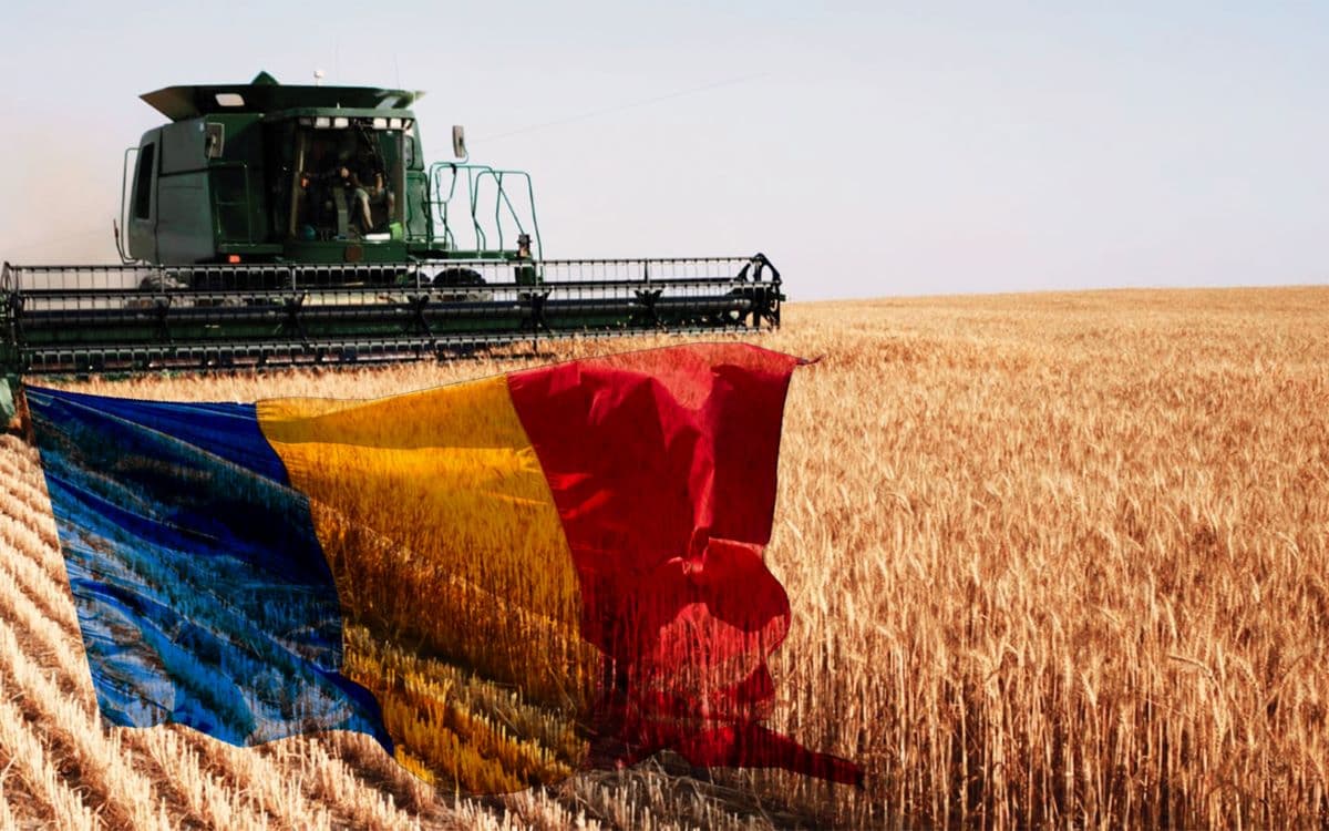 România, lider potențial în producția alimentară durabilă. Anunțul ministrului Agriculturii