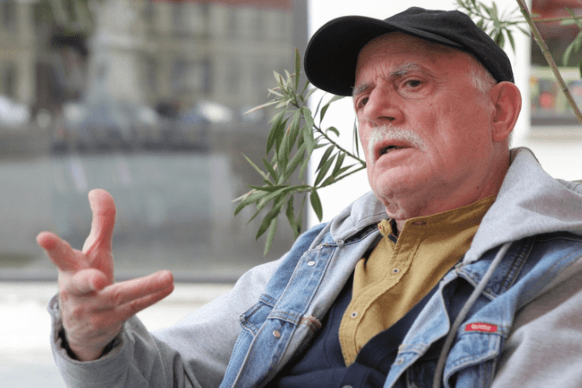 România va trece printr-un regim autocratic - regizorul Stere Gulea