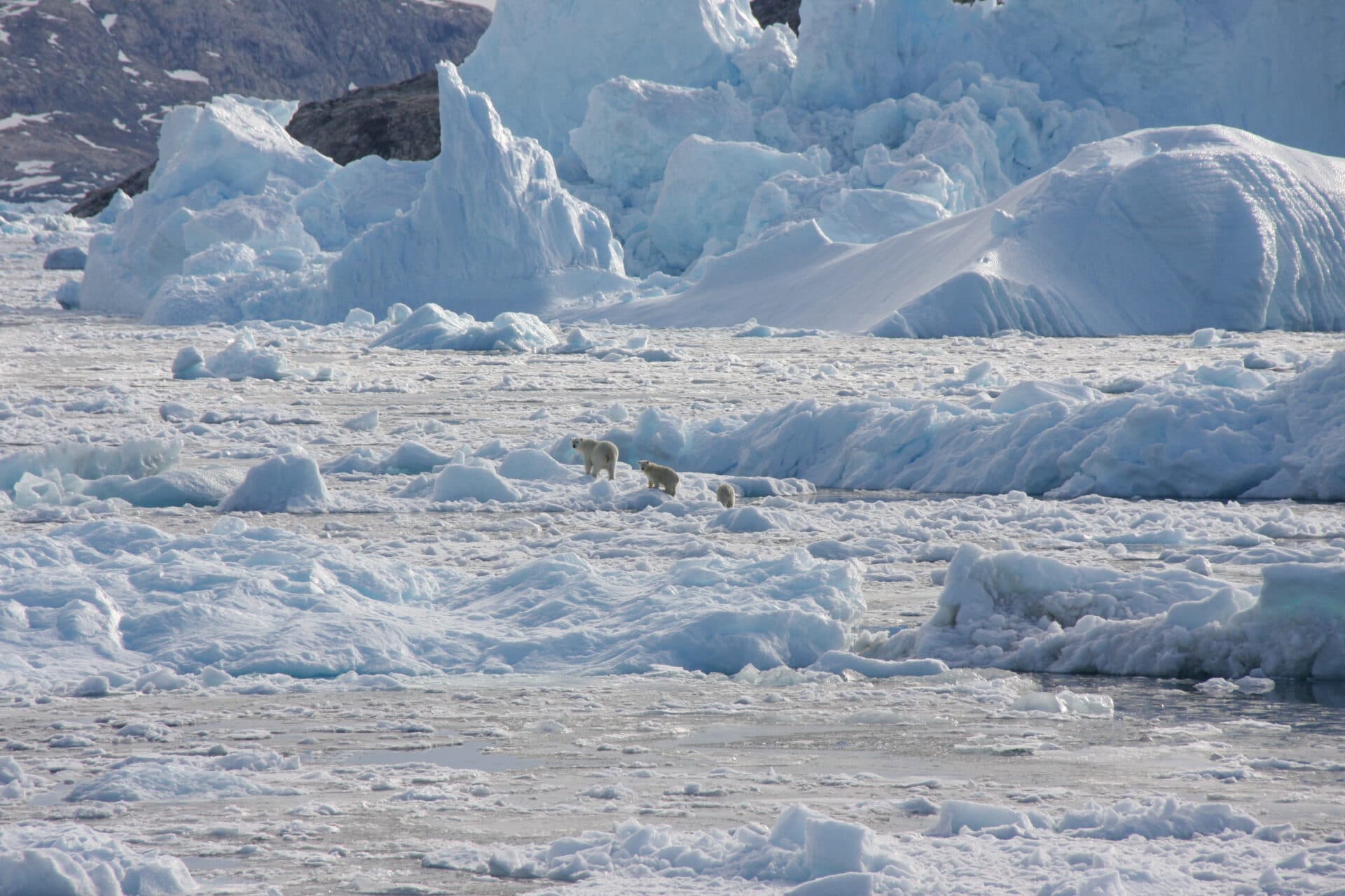 Rusia are interese in Arctica, spune Peskov