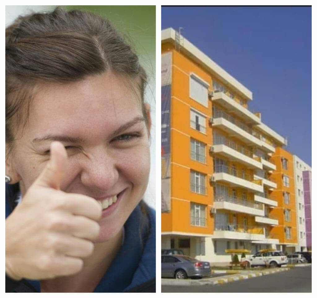 Simona Halep va avea propriul vin! 14 hectare are podgoria sportivei și va avea primul rod la anul