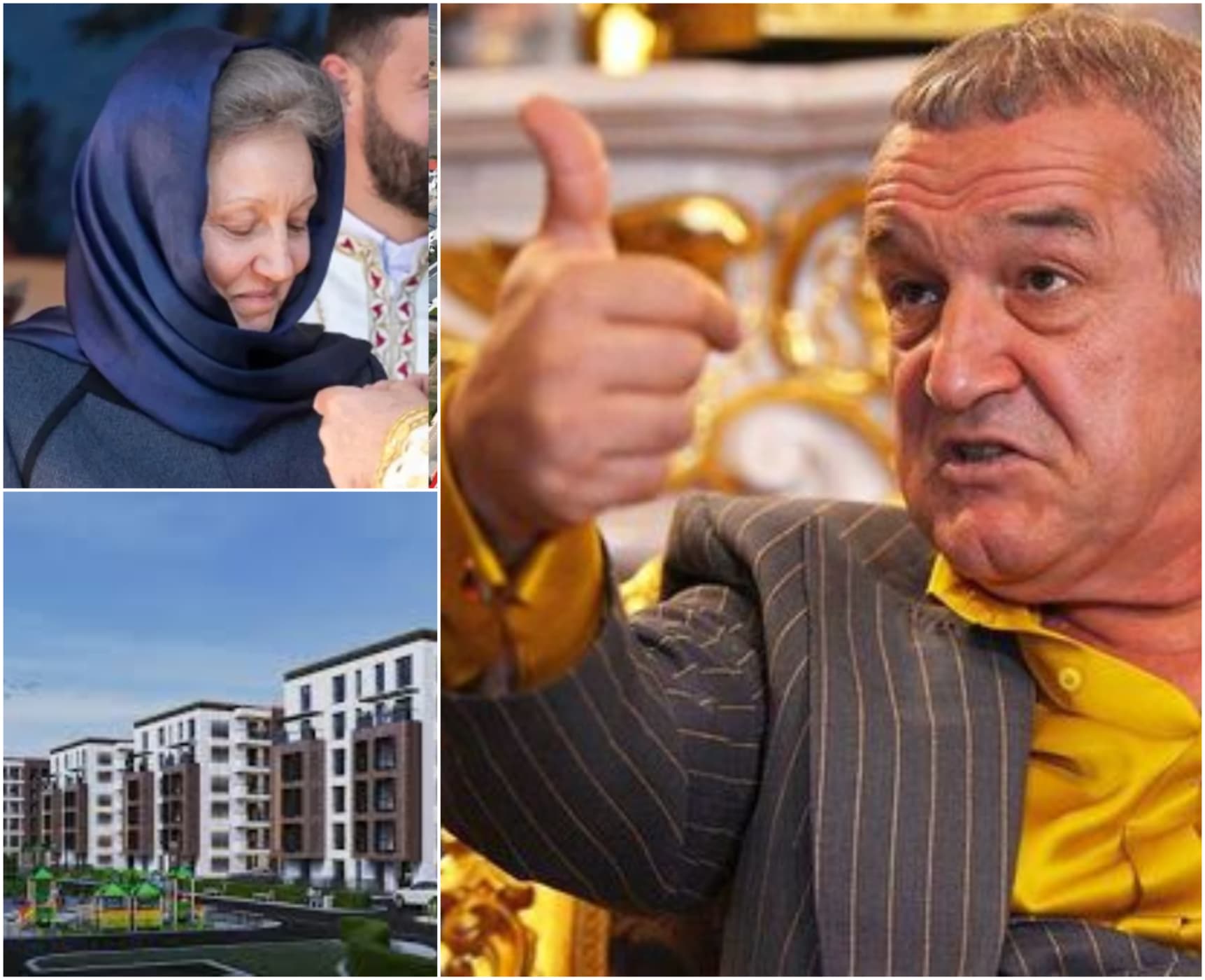 Sora lui Gigi Becali intră pe piața imobiliară la 70 de ani. Pensionara pregătește un proiect rezidențial tot în Pipera