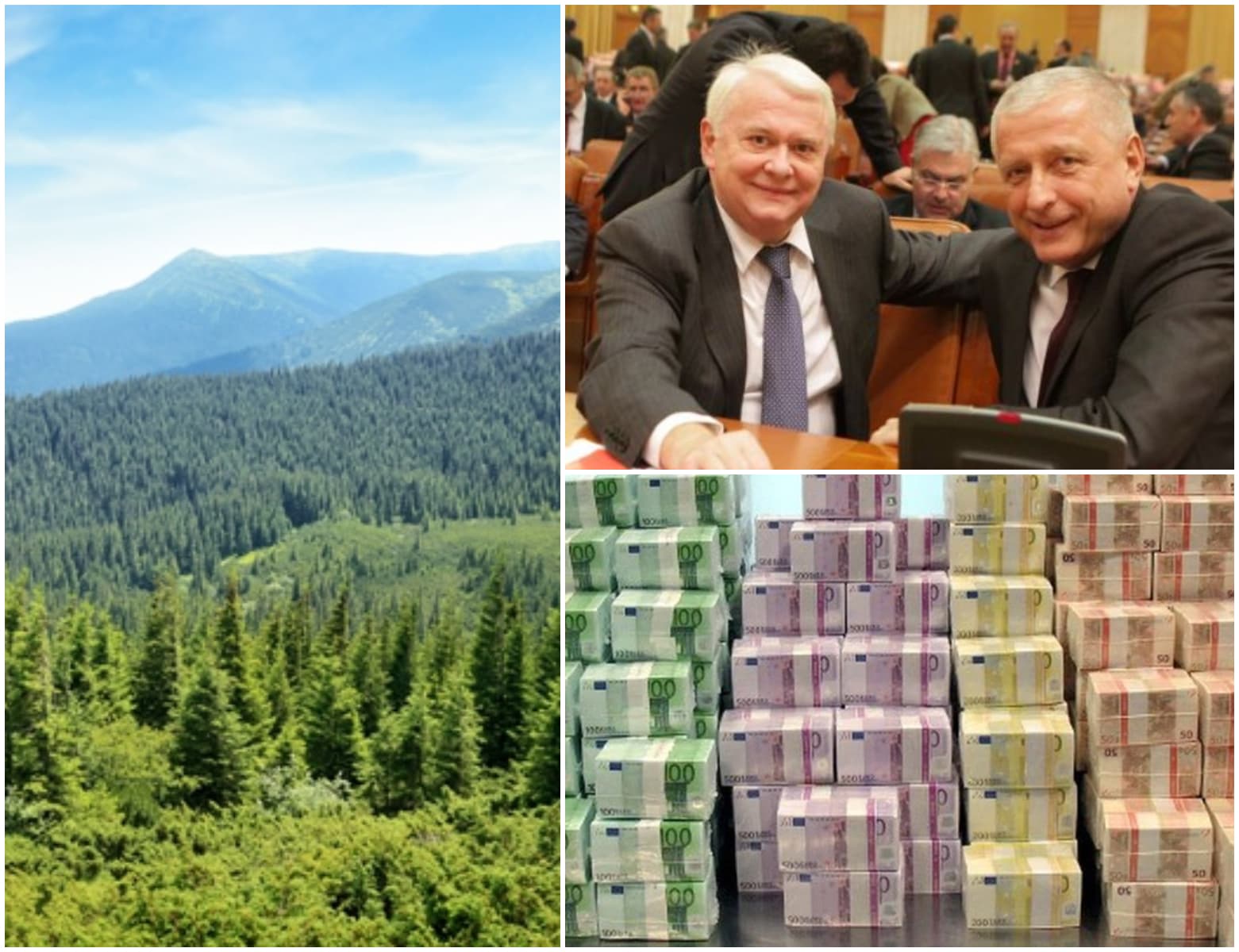 Statul recuperează păduri de 300 de milioane de euro retrocedate ilegal. 43.000 de hectare, aproape dublul Bucureștiului