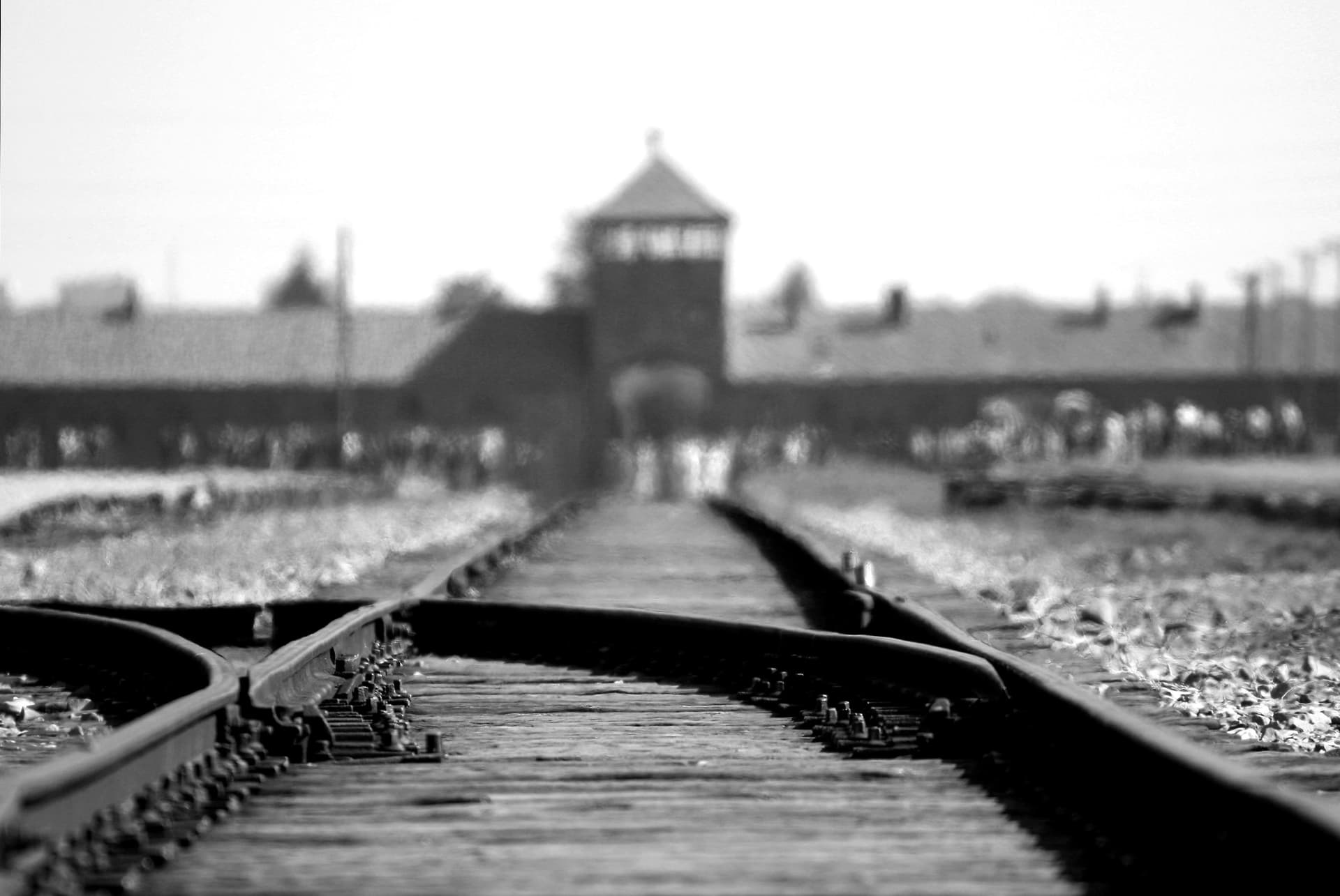 Ziua Internațională de Comemorare a Holocaustului: 55% dintre europeni consideră antisemitismul o problemă