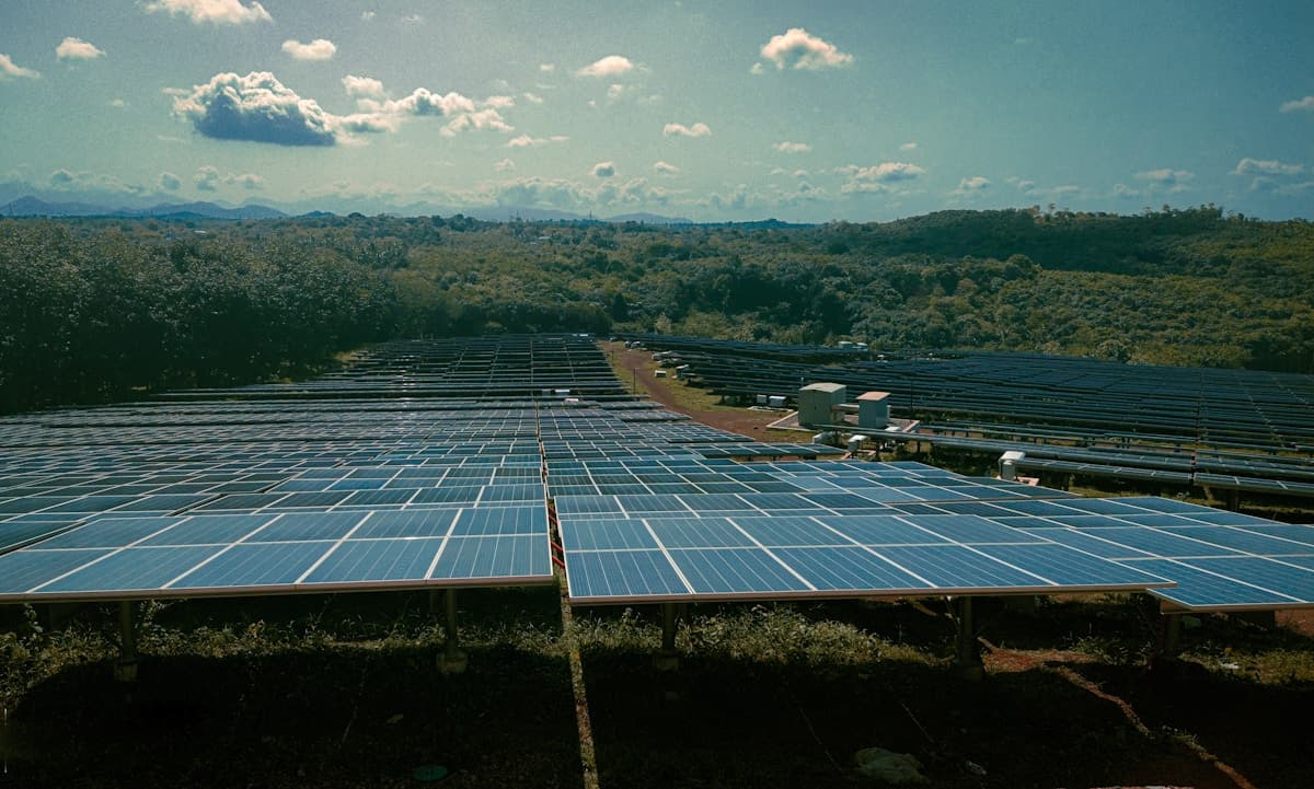 România construiește cel mai mare parc solar cu baterii din Europa. Investiție de 460 de milioane de euro