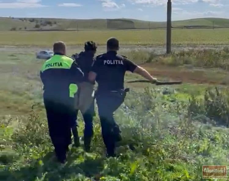 Angajații unei stațiuni de cercetare din Botoșani, fugăriți cu bâtele de ciobani! ”A început jihadul, am crezut că ne omoară acolo” VIDEO