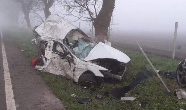 Constanța. Un autoturism Audi s-a rupt în două după ce s-a izbit de un copac