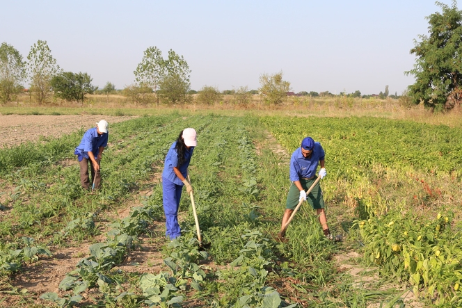 Producători agricoli: România este o ţară subdezvoltată