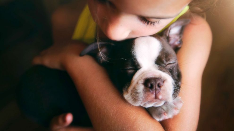 Un nou tip de coronavirus trece de la câini și pisici la copii