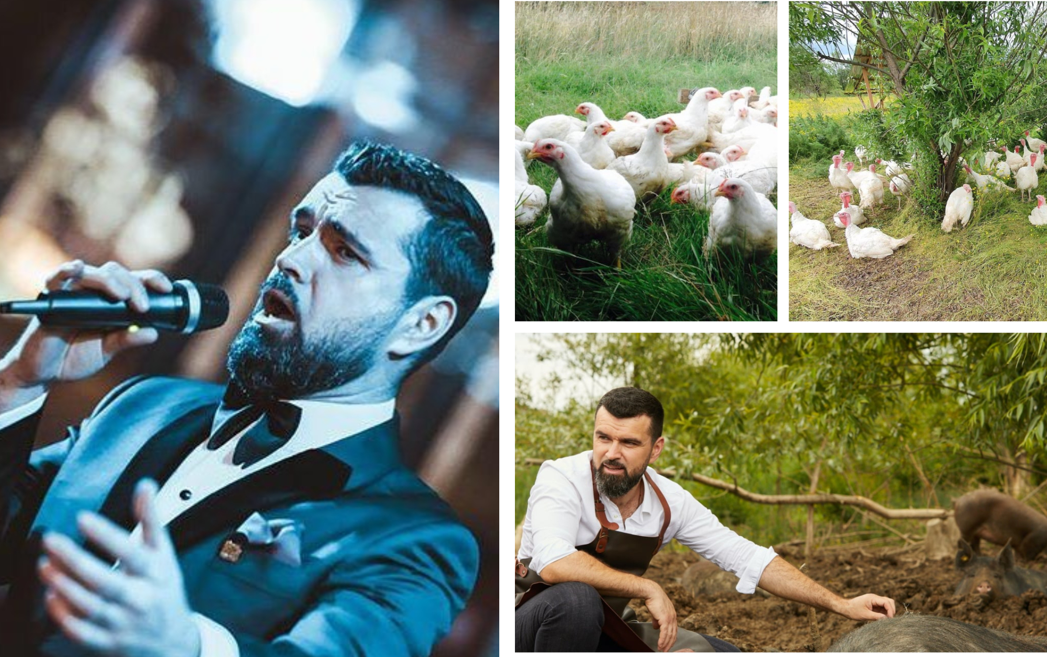 Tenorul Vlad Miriță a fost la un pas să-și închidă afacerea cu păsări și animale, ecoferma de hrană curată