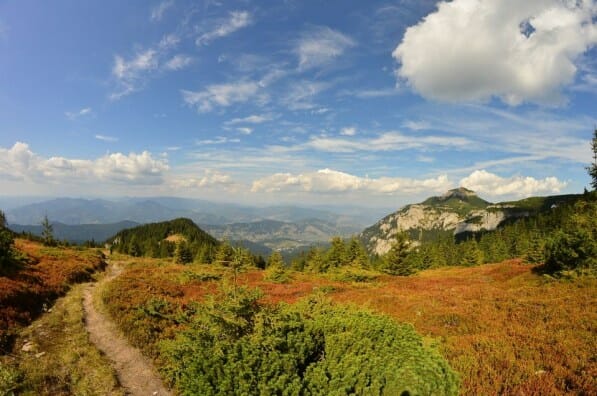Unde sunt localizate cele 14 parcuri naționale de pe teritoriul României
