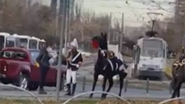 VIDEO Moment jenant la parada de la București. Ce a pățit un jandarm călare