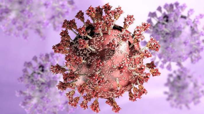 Anunț îngrijorător: Omicron și Delta ar putea crea un virus mai periculos decât COVID-19