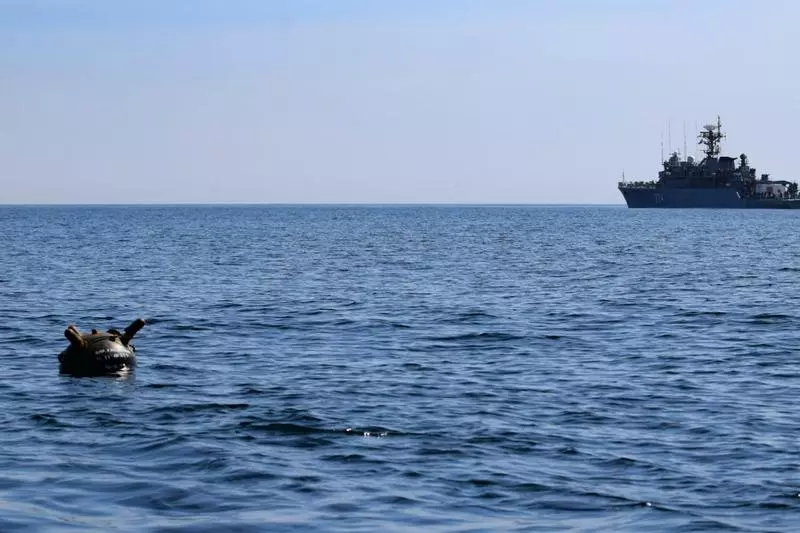 Influenţa minelor din Marea Neagră asupra preţului petrolului şi alimentelor